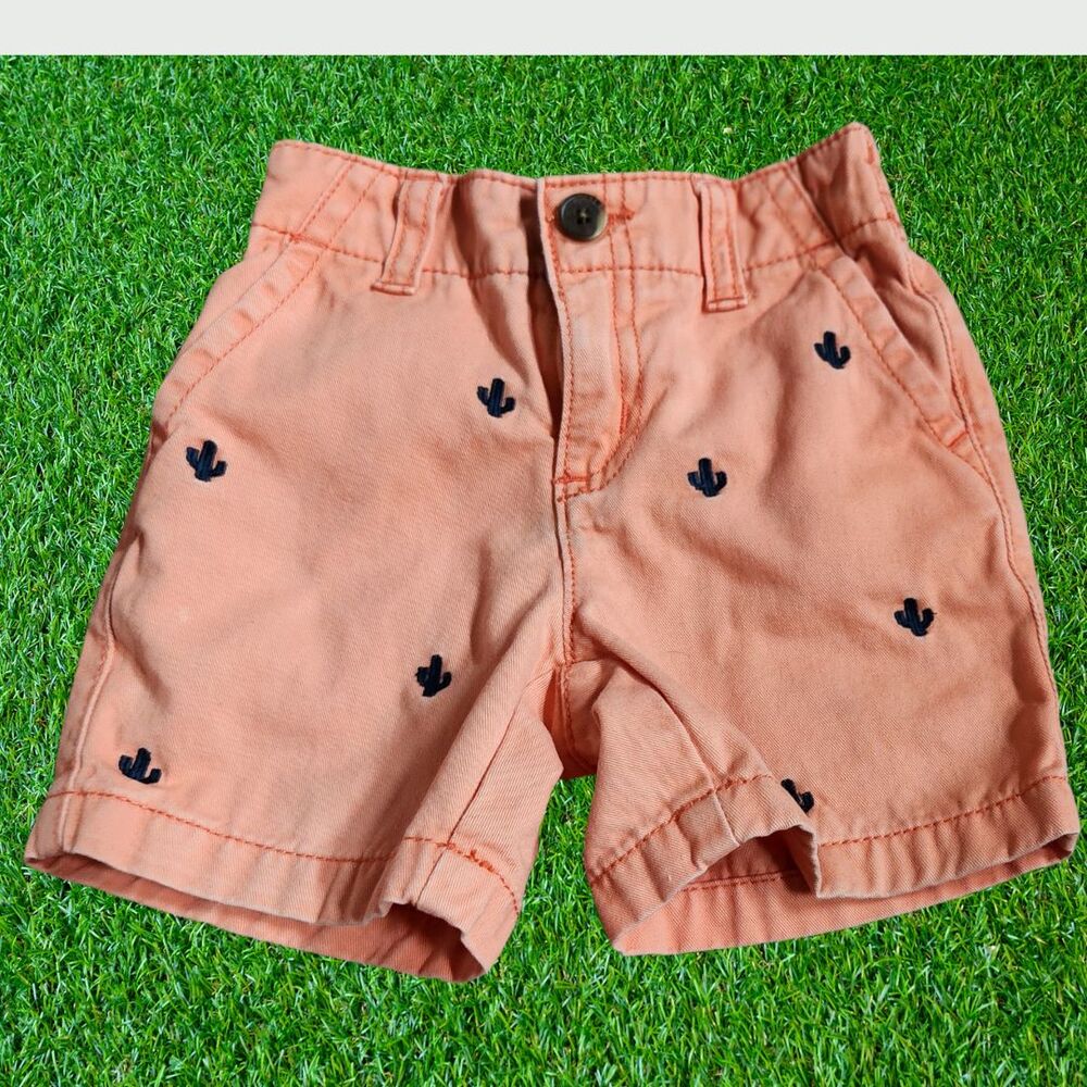Baby Boys 12-18 months Gymboree Desert Day Orange Blue Cactus Shorts Vacation
